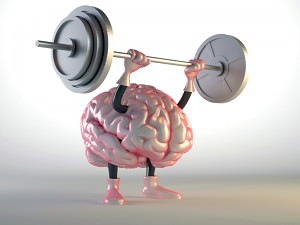 brain-training-fitness-300x225