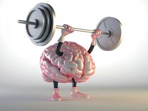 brain-training-fitness-300x225 brain-training-fitness-300x225